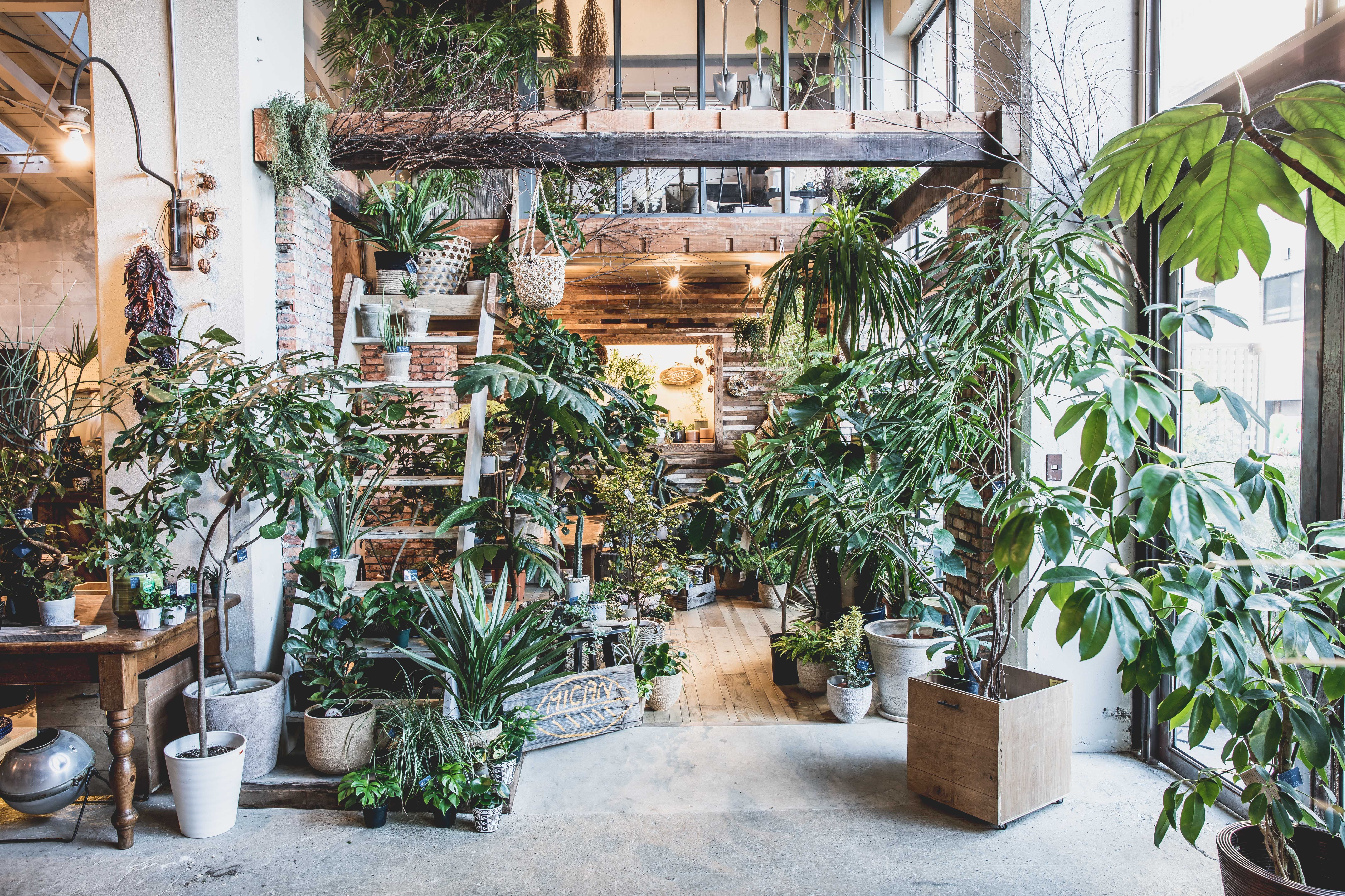 東京のおしゃれなボタニカルカフェ7選。植物ライフの参考にしたい！