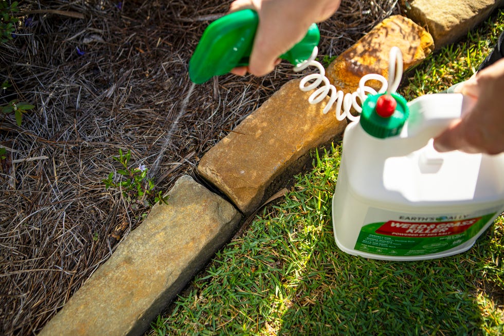 earth's ally weed killer