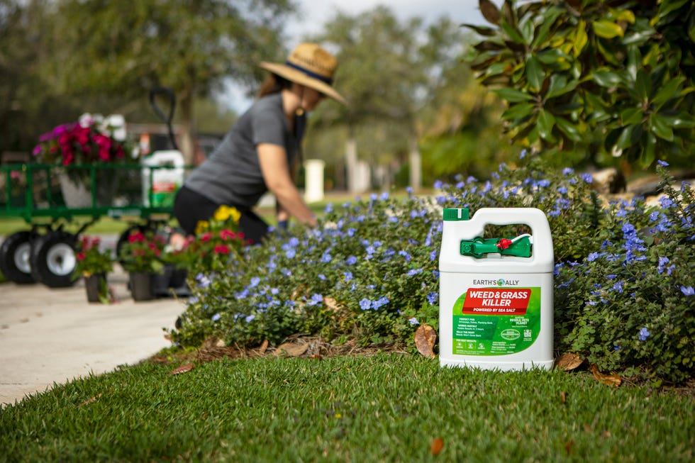 earth's ally weed killer