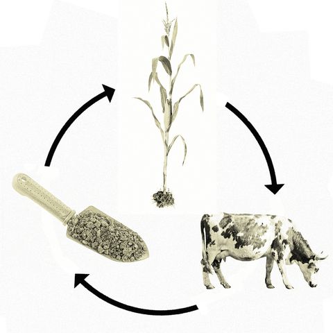 biodynamic farming