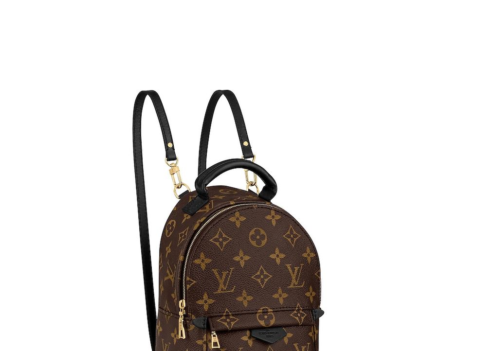 LOUIS VUITTON Palm Springs Backpack 後背包，NT. 62,500