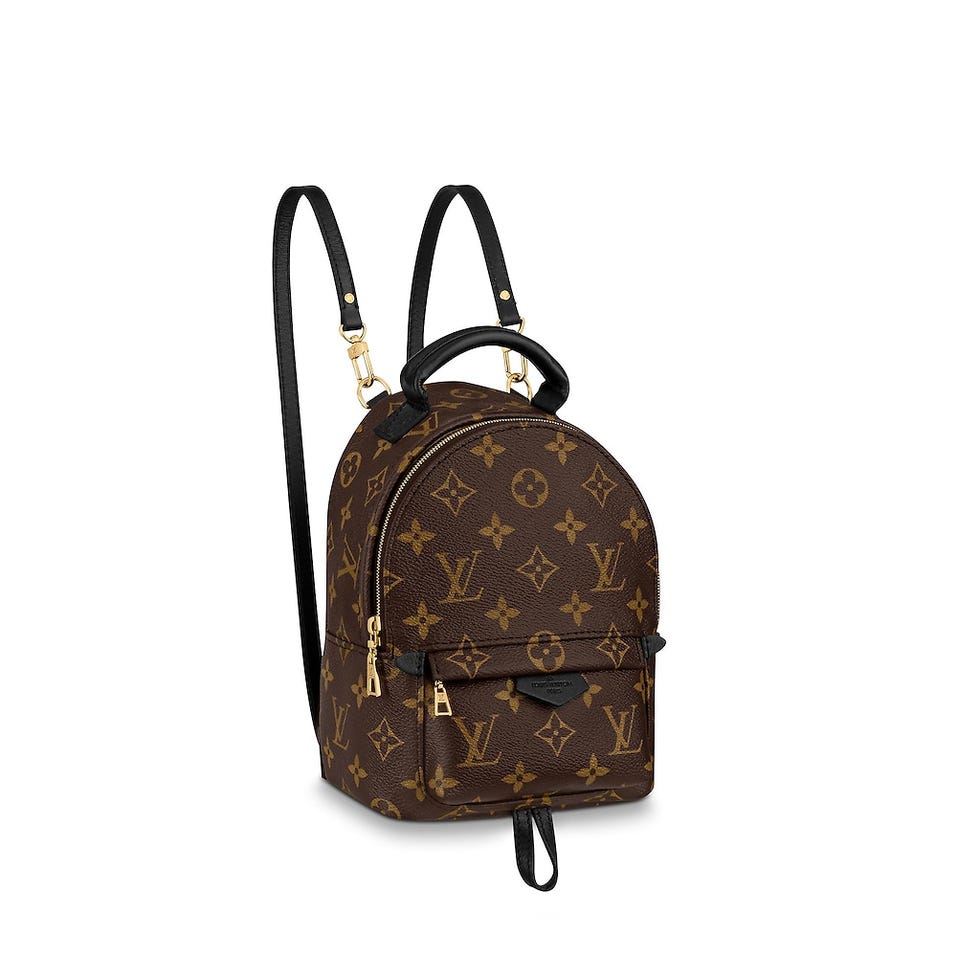 LOUIS VUITTON Palm Springs Backpack 後背包，NT. 62,500