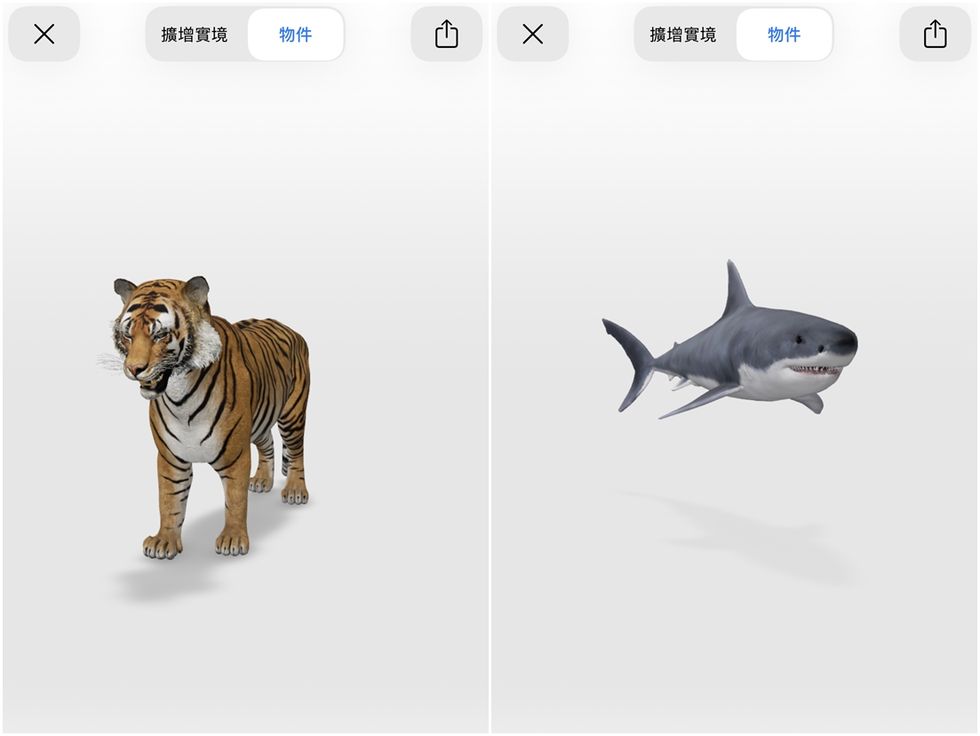 Google AR 動物互動拍照