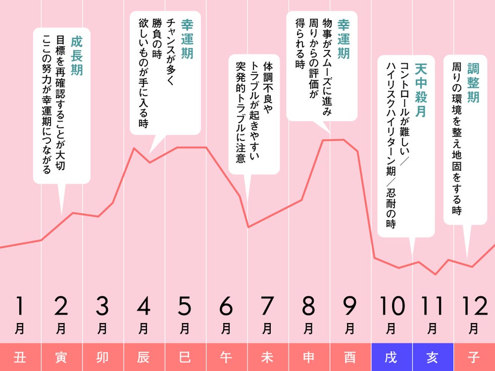 biorhythm 2024