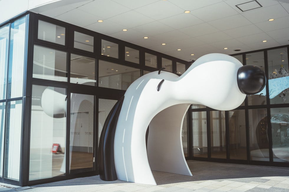 a large white shark sculpture in a glass case