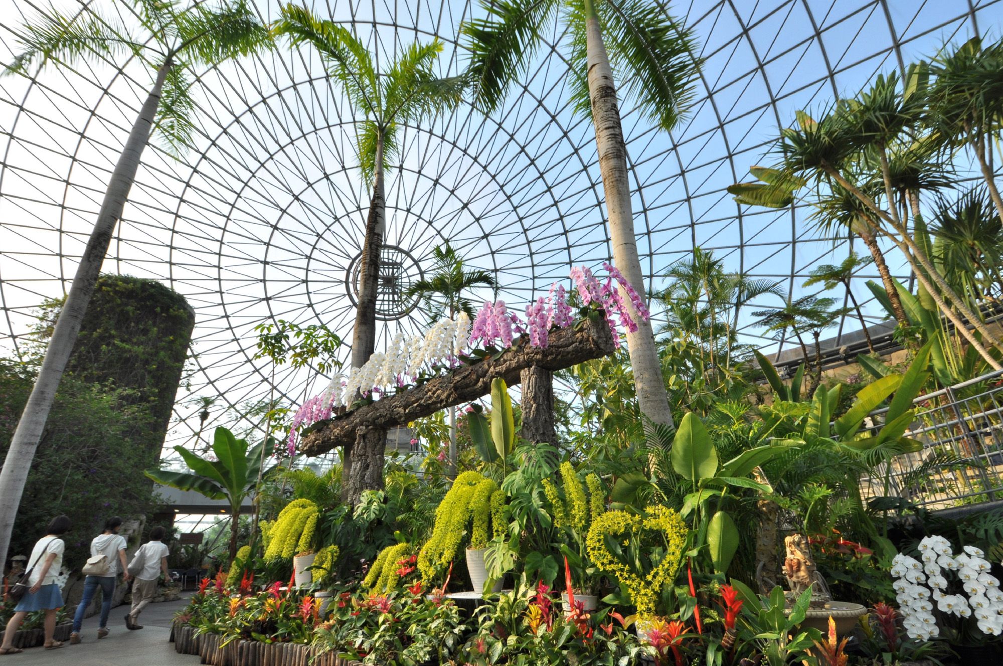 植物園 