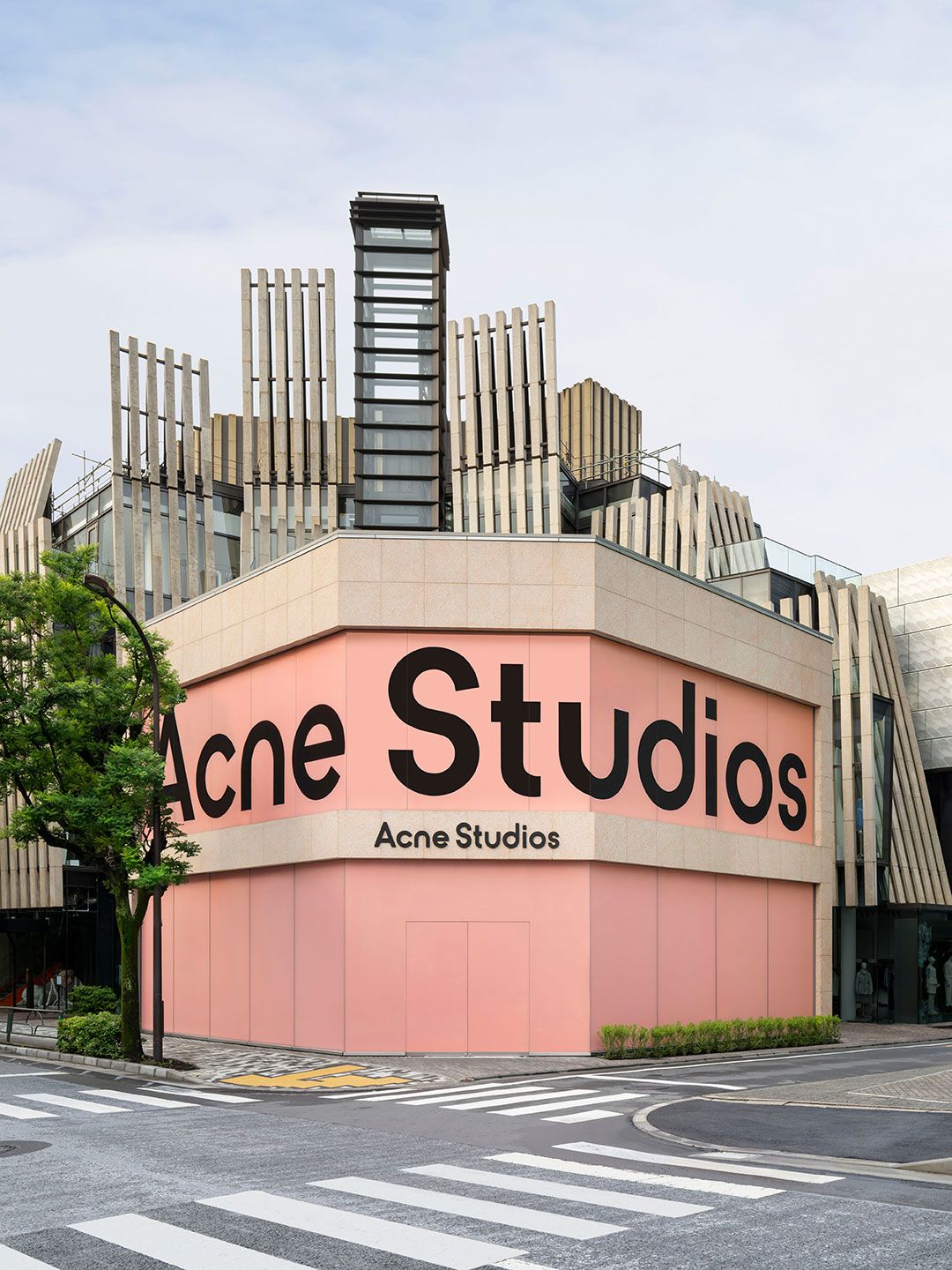 Acne studios アクネ ストゥディオズ Amazon | Acne Studios(アクネ ストゥディオズ) マフラー