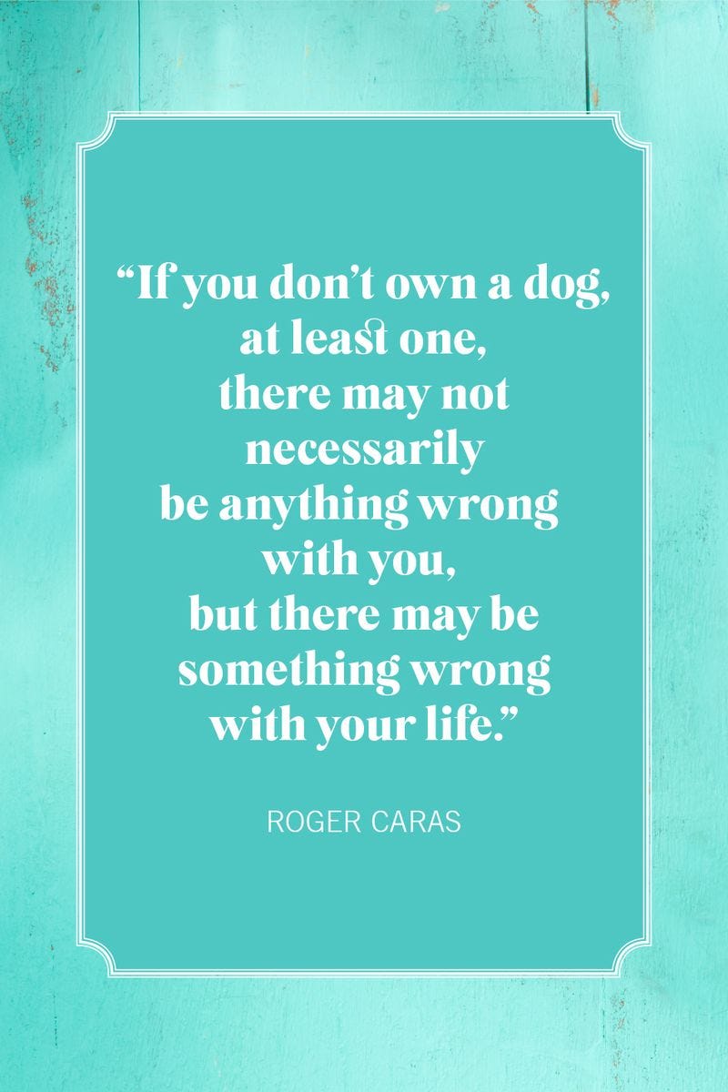 dog mom quotes roger caras