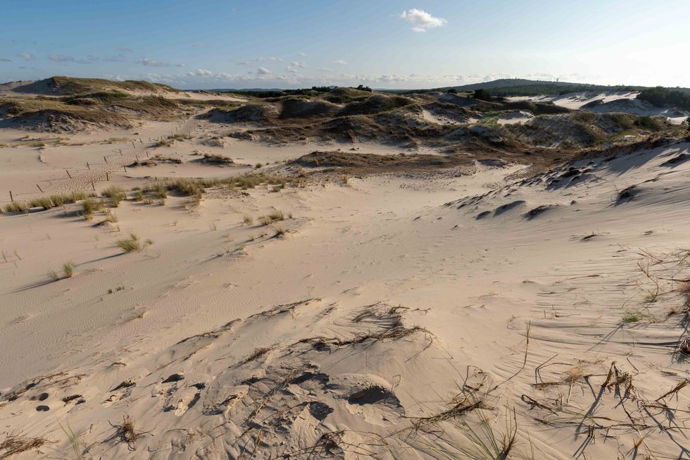 In Nationaal Park Sowiski vind je het grootste oppervlak aan wandelende duinen in Europa