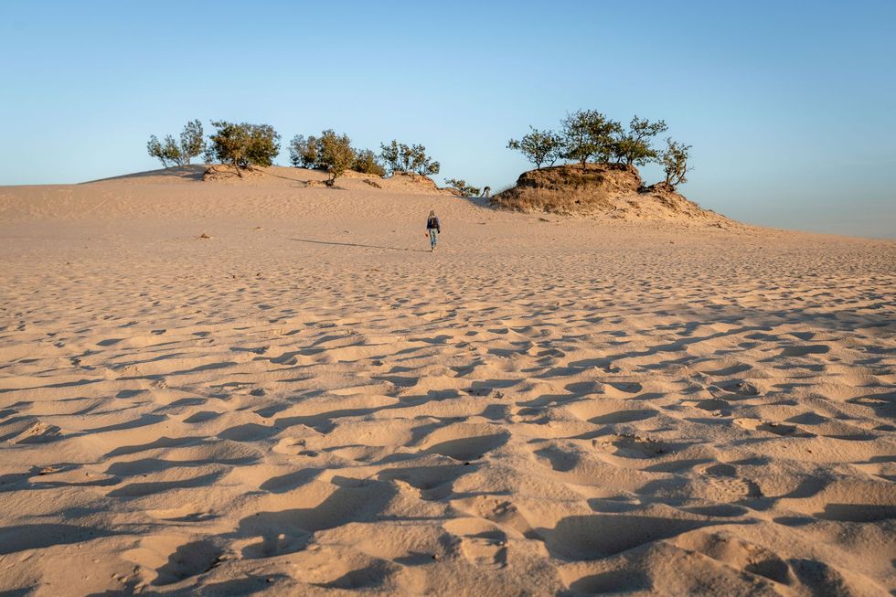 De Loonse en Drunense Duinen vormen een zandbak van 750 voetbalvelden groot en daarmee een van de omvangrijkste stuifzandgebieden van WestEuropa