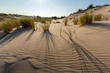 de wandelende duinen zijn de belangrijkste trekpleister van nationaal park sowiski