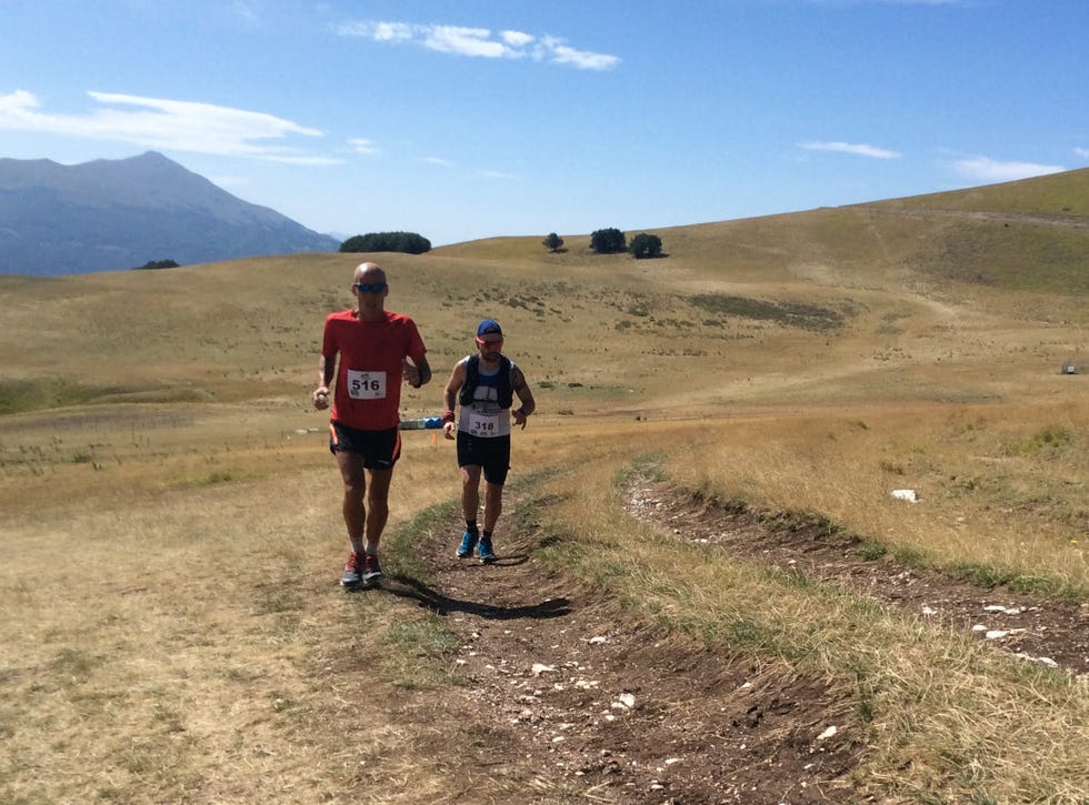 two runners participating in a trail event on a grassy path