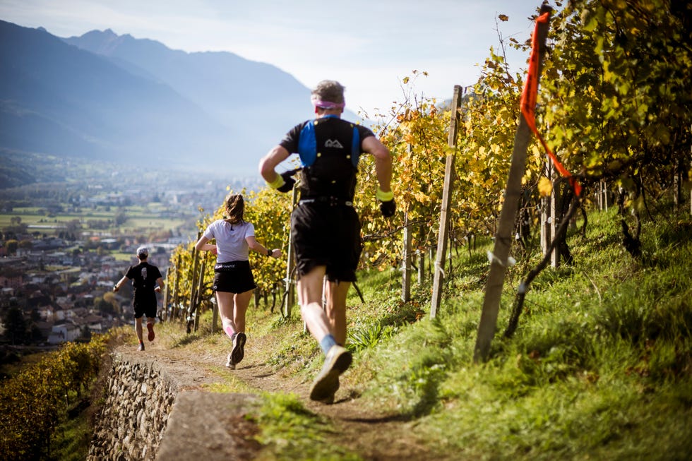 valtellina wine trail corsa nelle cantine