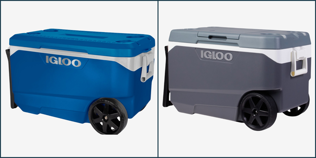 two wheeled coolers from igloo one blue and one gray