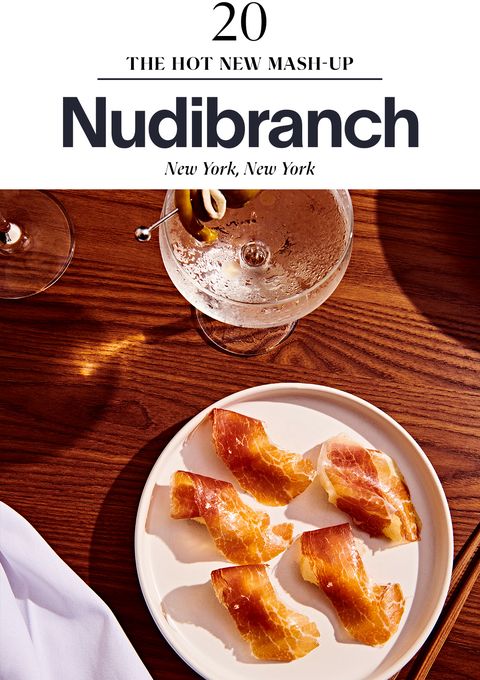 nudibranch

new york