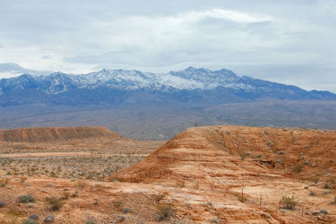 Dit park werd op 28 december 2016 door president Obama in het zuidoosten van Nevada ingesteld Het 1200 vierkante kilometer grote park met spectaculaire rode zandsteenformaties verbindt de Lake Mead National Recreation Area en de Virgin Mountains met elkaar Hierdoor ontstaat een ononderbroken corridor voor grotere wilde dieren waaronder dikhoornschapen en poemas Het monument is ook een toevluchtsoord voor talloze kleinere zoogdieren amfibien en reptielen waaronder de bedreigde Mojavewoestijnschildpad en de luipaardkikker Lithobates onca die ooit als uitgestorven werd beschouwd