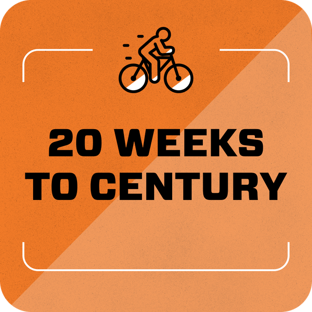 20 weeks to century