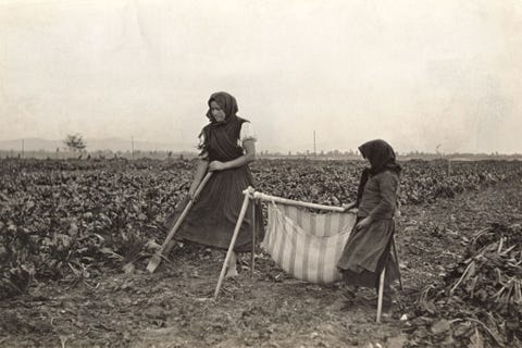 In Hongarije bewerken een moeder en haar kind een akker terwijl een baby in een hangwieg ligt te slapen 1914