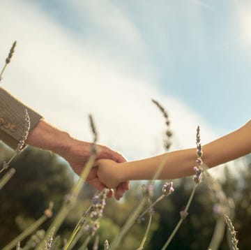 a handholding moment between an adult and a child in a lavender field a handholding moment between an adult and a child in a lavender field