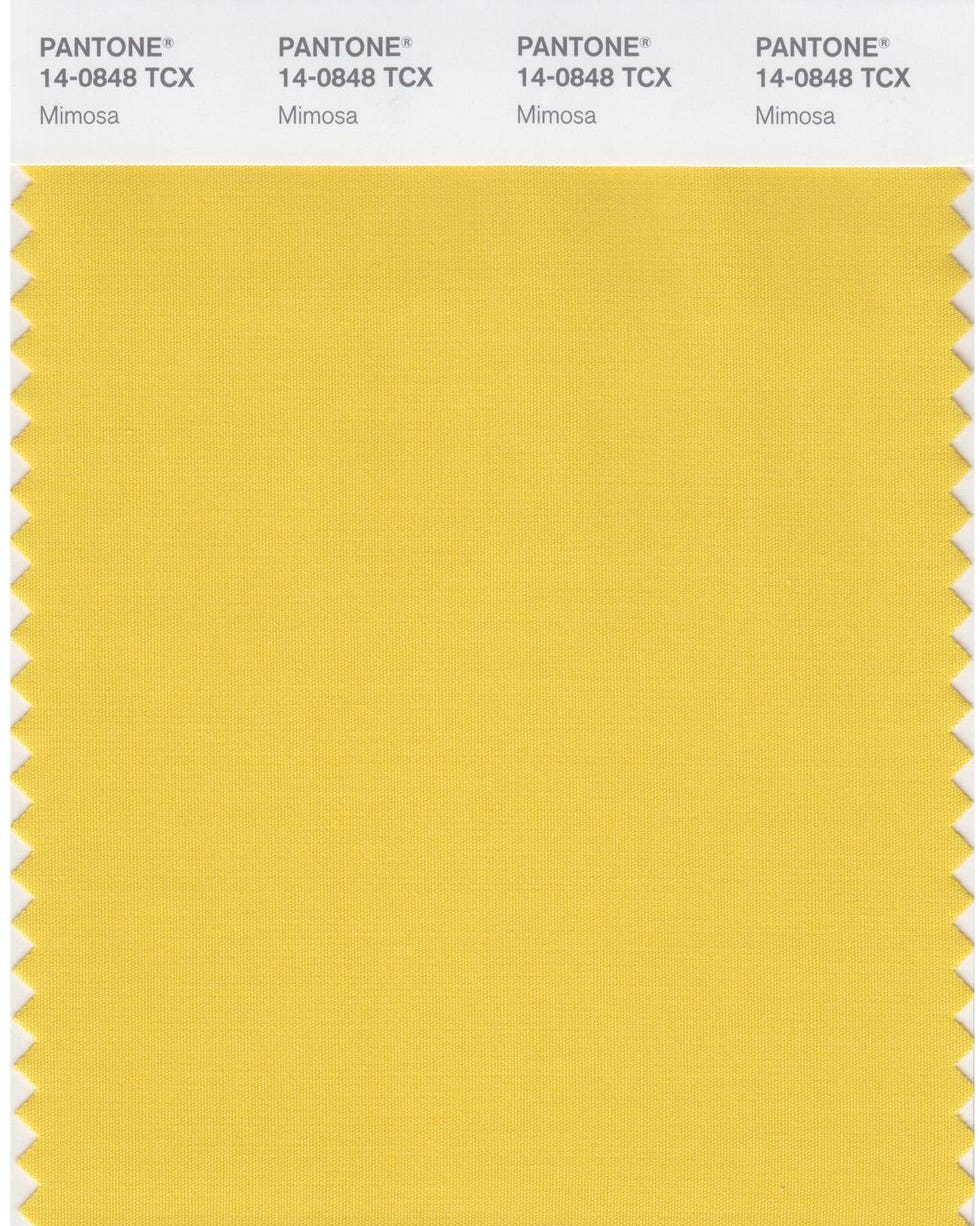 PANTONE 2009 Mimosa pantone 2009 mimosa