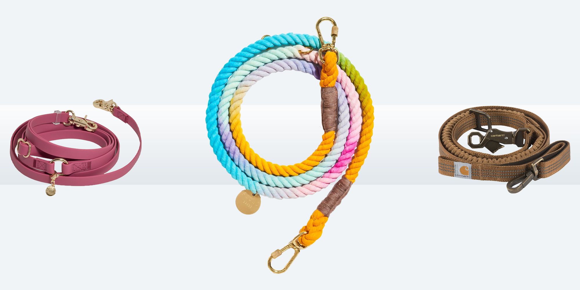 Aazon.co : NCAA PET Leash, Large, Florida Gators, Dog Leash, Shiny