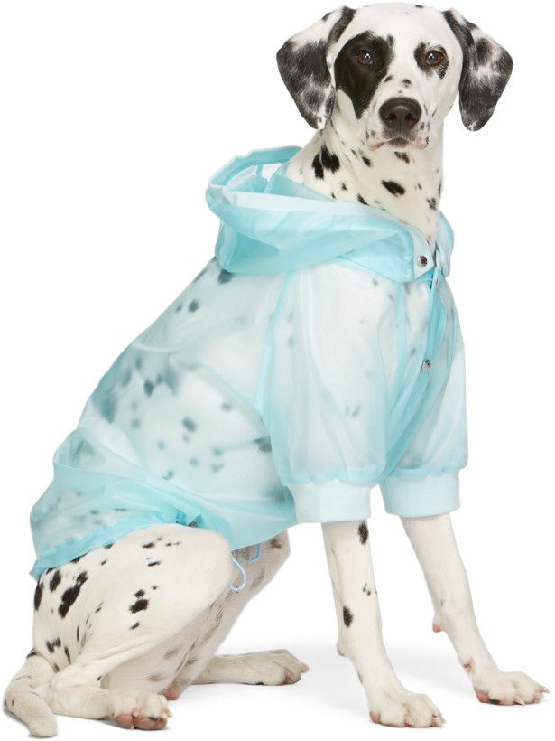 藍色透明寵物雨衣