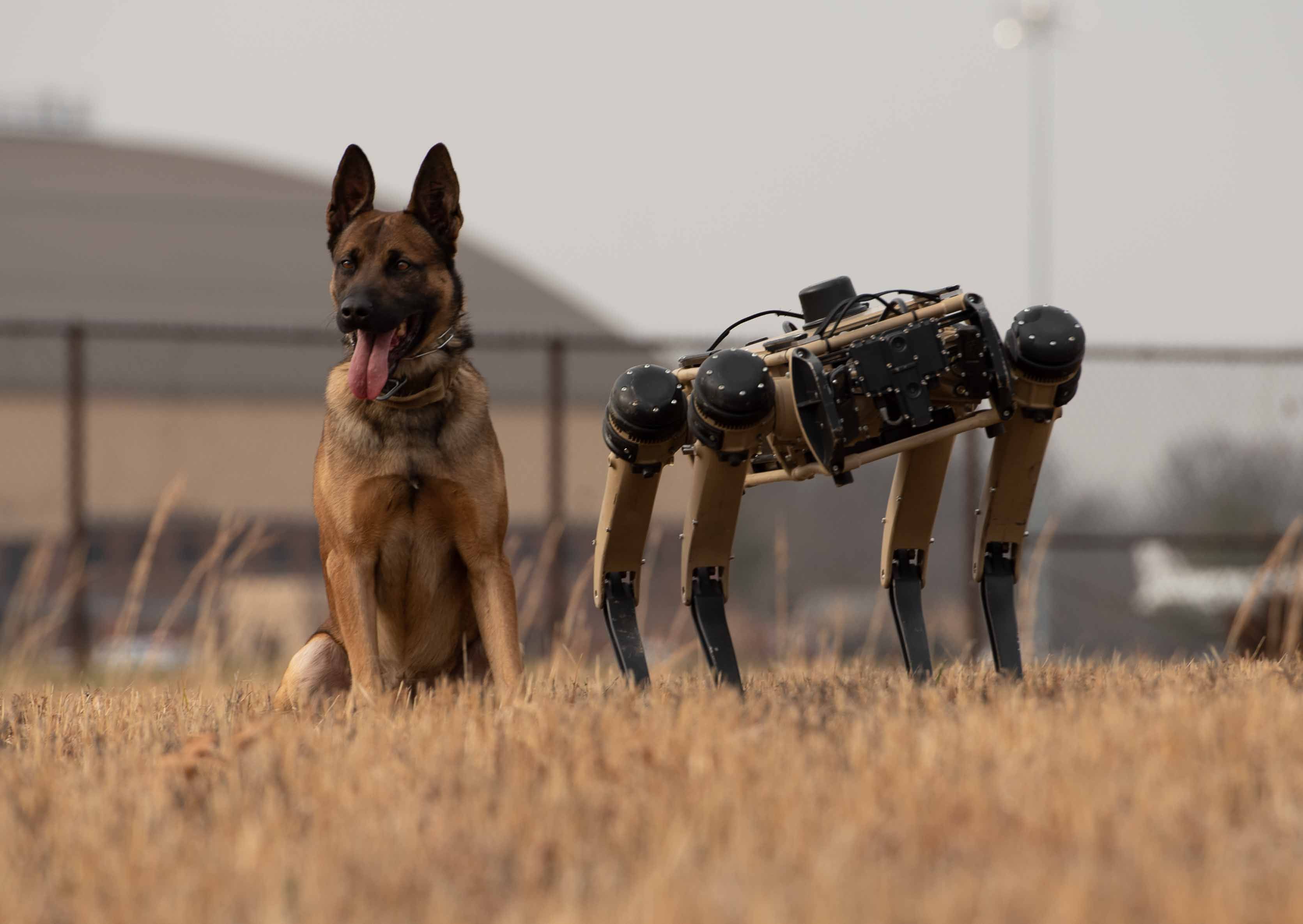 Fabricante militar presenta perro robot armado con un rifle – DW –  18/10/2021