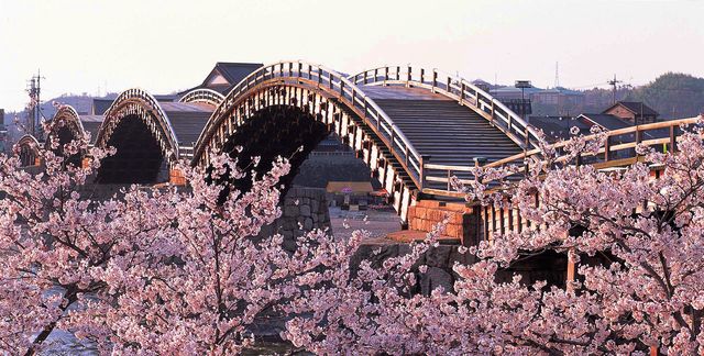 Flower, Blossom, Cherry blossom, Spring, Architecture, Plant, Tree, Arch, Bridge, Rock, 
