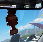 Copper Canyon Little Trees in Junkyard Cars copper canyon little trees in junkyard cars