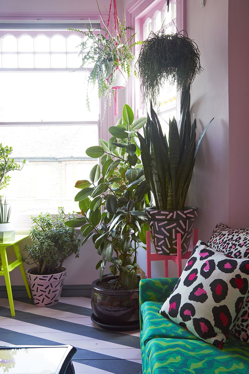 Houseplant, Living room, Room, Pink, Interior design, Green, Home, Furniture, Flower, Flowerpot, 