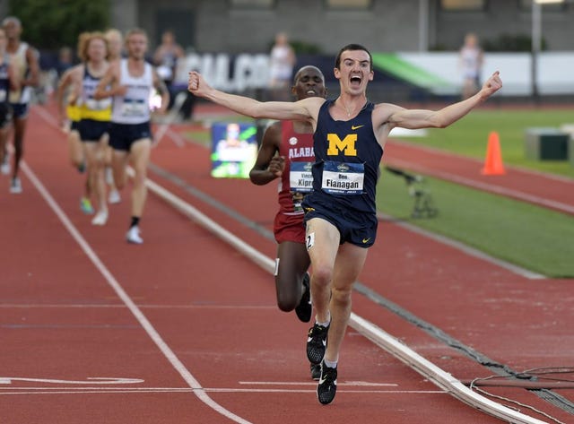 Ben Flanagan, Michigan