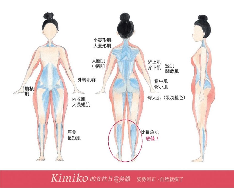 Shoulder, Joint, Human anatomy, Leg, Human, Organ, Back, Neck, Human body, Knee, 