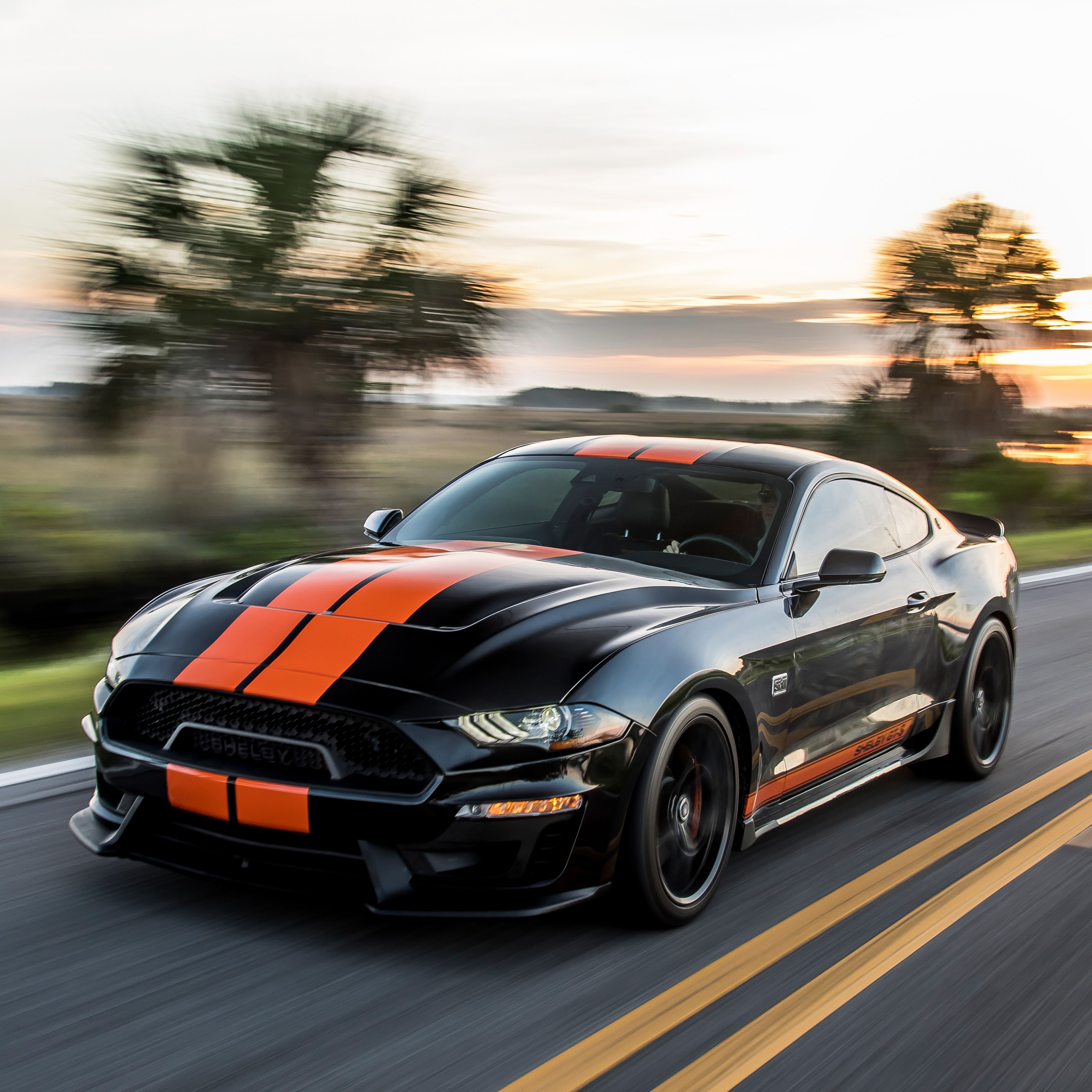 2019 Ford Mustang Shelby Gt-S Is A Rental Car We Can Dig