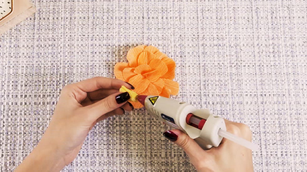 Finger, Hand, Petal, Flower, Hair accessory, Headband, Plant, Headgear, Bouquet, Nail, 