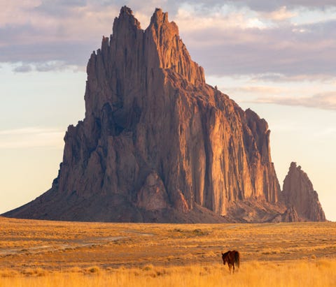 NOORDEN VAN NEW MEXICO NOORDEN VAN NEW MEXICODit wilde paard in het noorden van New Mexico was helemaal in zn eentje en liep naar de reusachtige rotsformatie Shiprock Ik ben dol op deze foto omdat hij de uitgestrektheid van deze plek overbrengt De Shiprock rijst 457 meter de lucht in omgeven door niets anders dan kale platte woestijnvlakte Toen ik zag hoe het paard voor deze prachtige rotsformatie langs liep moest ik dat vastleggen
