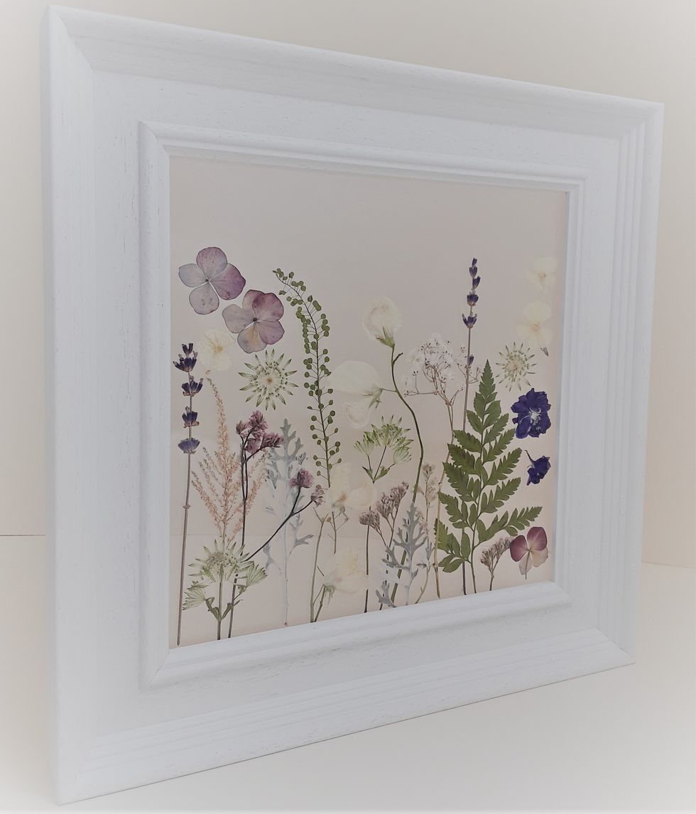 Botany, Plant, Leaf, Picture frame, Flower, Wildflower, 