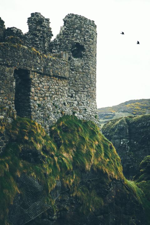 Castle, Highland, Cliff, Rock, Wall, Klippe, Ruins, Terrain, Grass, Tree, 
