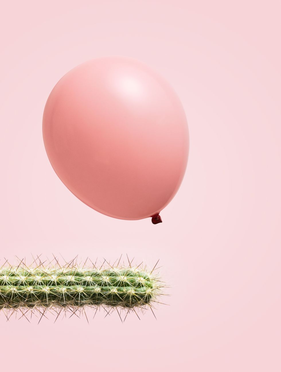 a spikey cactus plant horizontal with a pink balloon floating above on a pink background