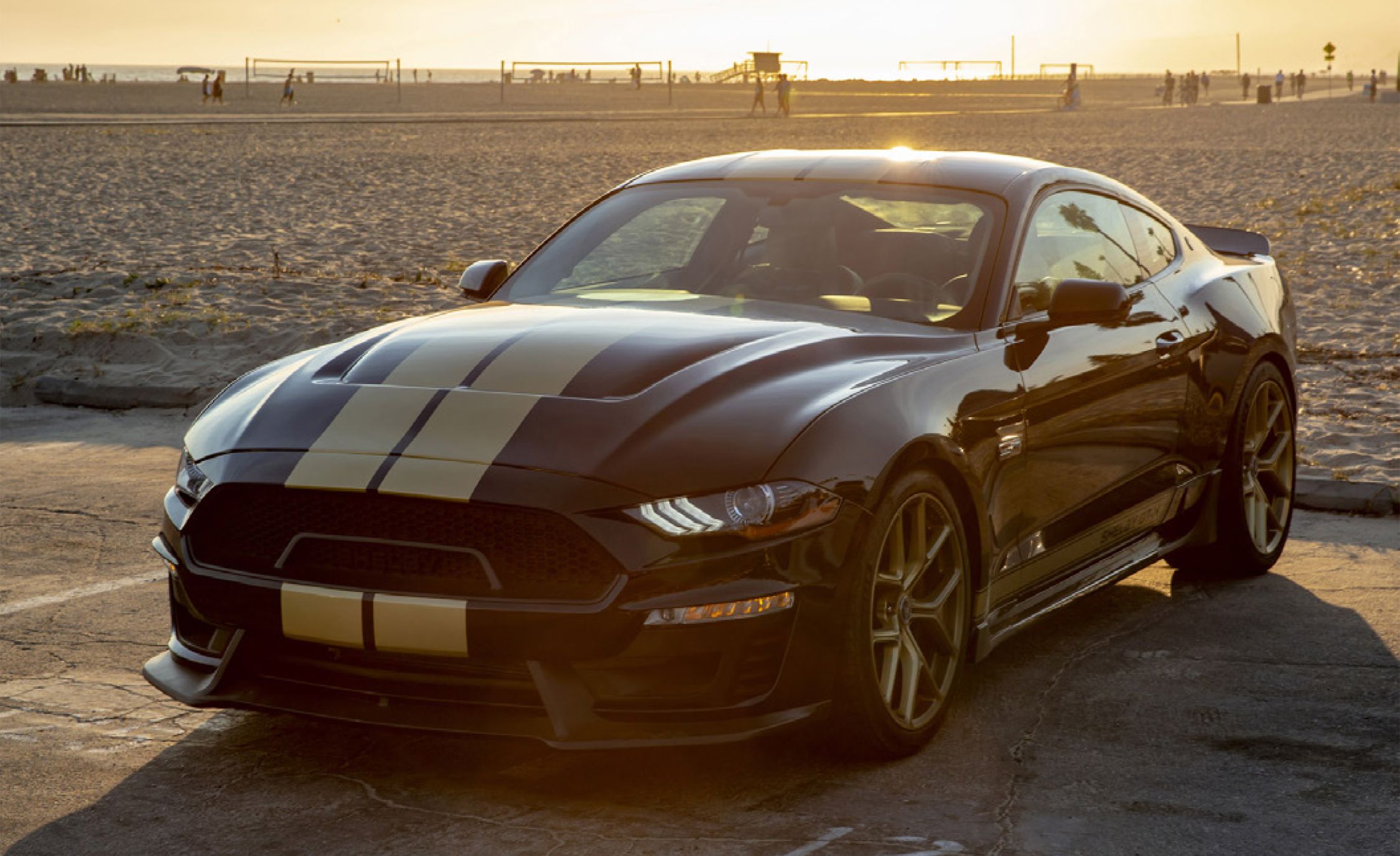 shelby cobra mustang gt500 black