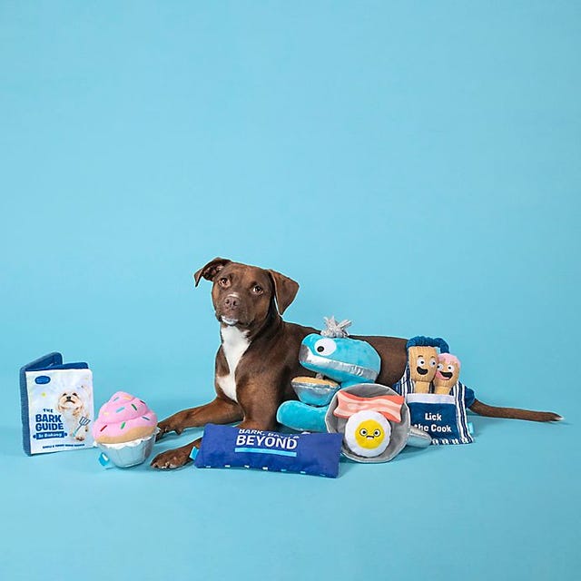 Spoil your dog with these toys, treats, beds and more - Good