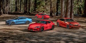 Land vehicle, Vehicle, Car, Tree, Subcompact car, Sports car, State park, Supercar, Forest, Woodland, 