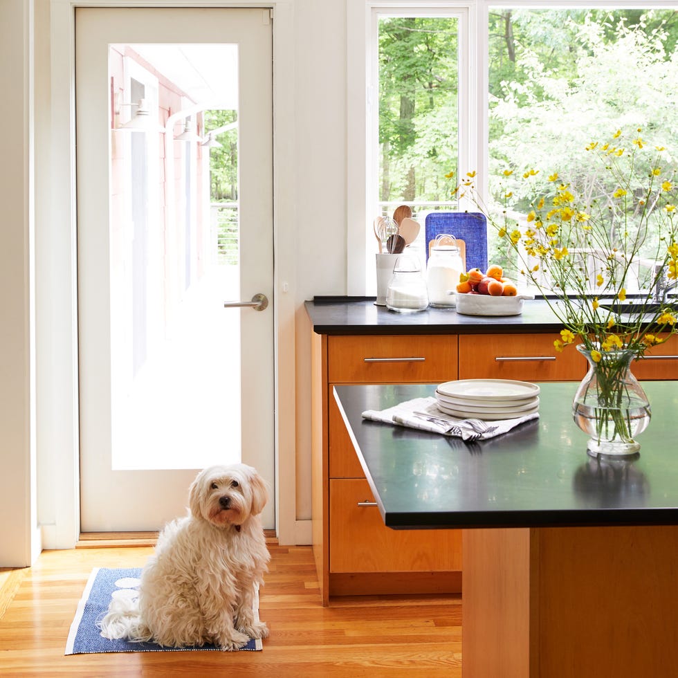 a clean kitchen is a happy kitchen