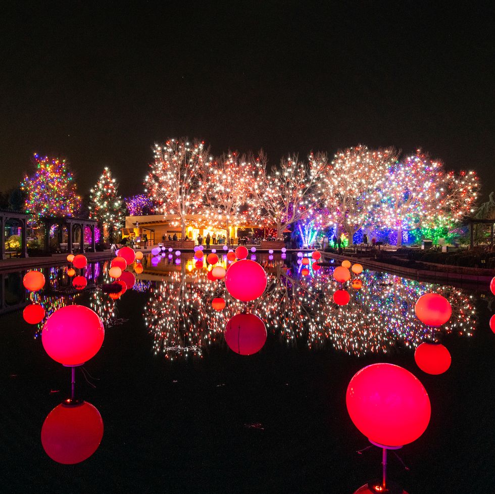 red globes of light on water in front of trees lit with christmas lights