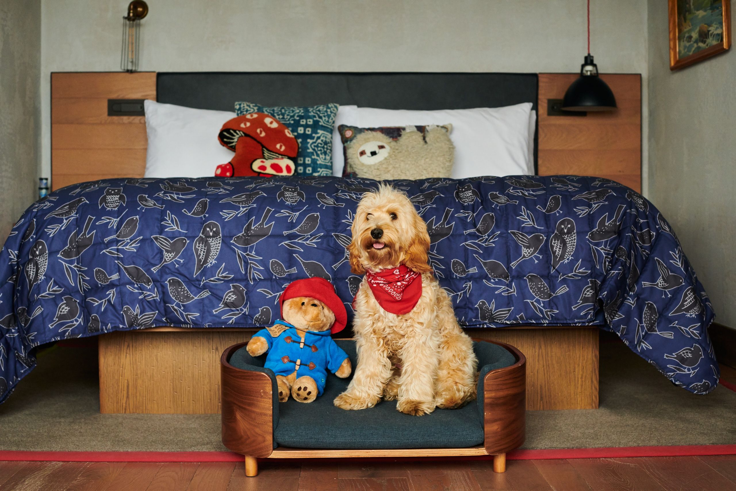 19 best dog-friendly hotels in the UK for 2023