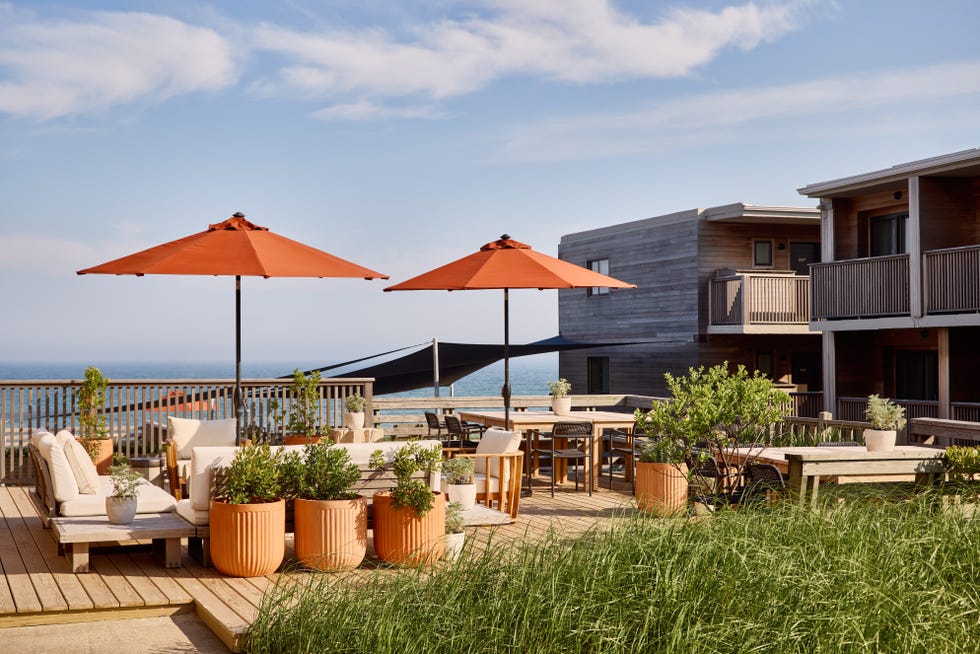 helmgras montauk
