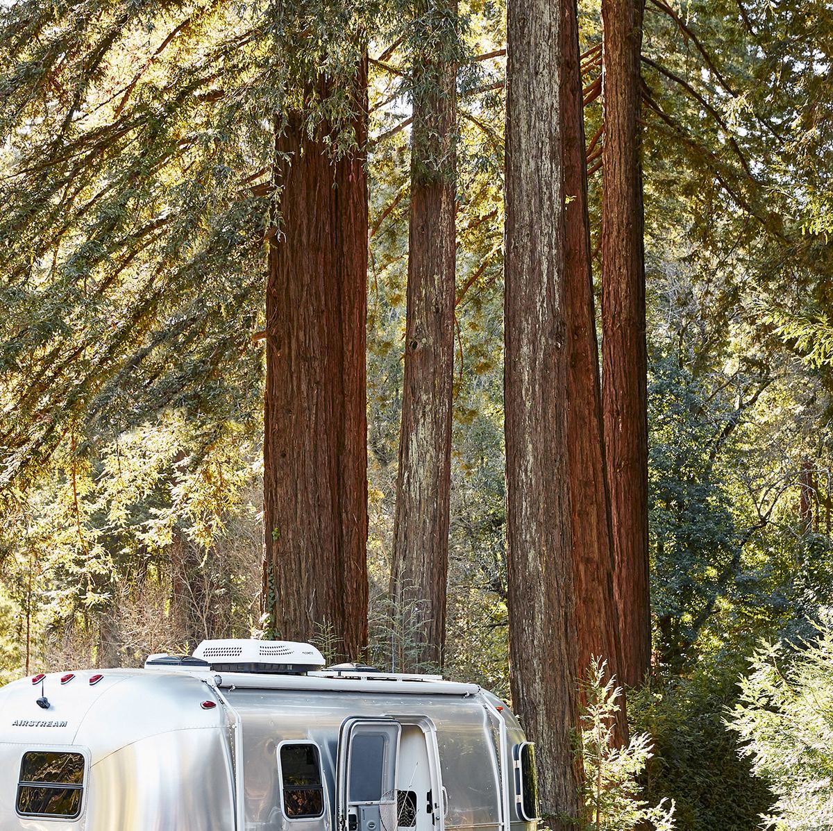 Airstream Partners with Pottery Barn on Luxury Camper Decor