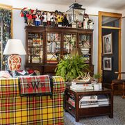living room, tartan couch, wooden coffee table, area rug, indoor plants, bookcase