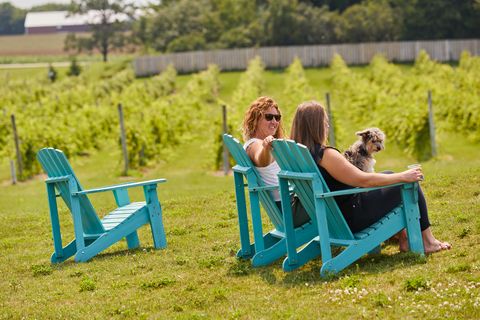 women sitting on lawn chairs drinking wine