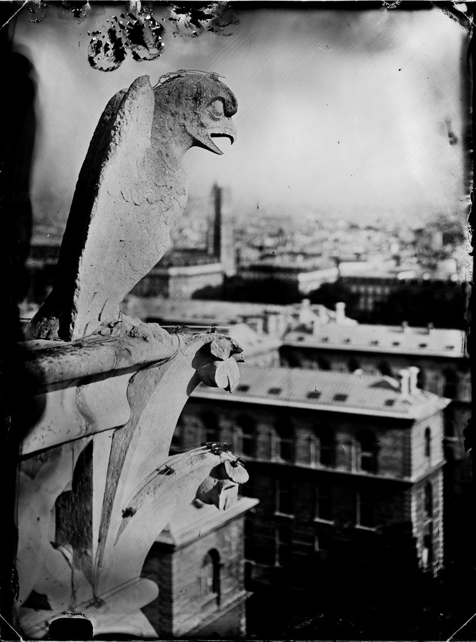 Links Een chimre een hybridisch fabeldier op de noordtoren van de westgevel Van Houtryve maakt digitale scans van zijn collodiumfotos