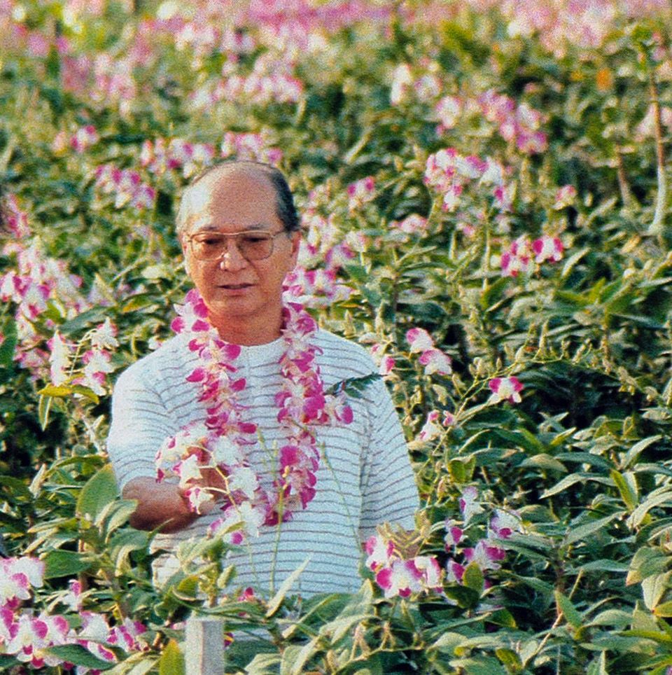 3月のいけばな 「吉村華泉、魅惑の蘭王国・タイ」【生け花、いけばな、生花、華道】